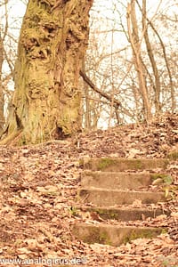 Auto Revuenon MC Macro 80 – 205 mm - Fotos verschiedene Blendeneinstellungen