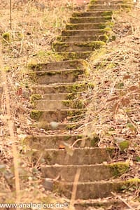 Auto Revuenon MC Macro 80 – 205 mm - Fotos verschiedene Blendeneinstellungen