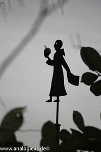 Auto Revuenon MC Macro 80 – 205 mm - Fotos verschiedene Blendeneinstellungen