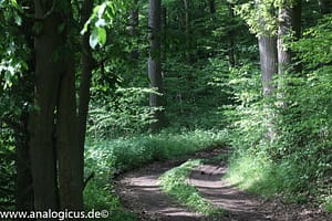 Domiplan 50 mm Blende 8