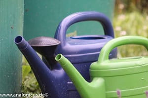 IMG_0400 Beroflex 6° 400 mm f/ 6.3 Fotos mit Offenblende 6.3