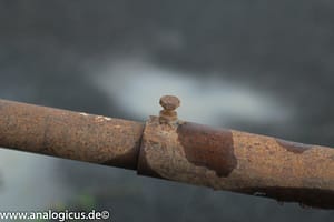 Komura Komuranon 820 80-200 mm Fotos mit Blende f/ 8