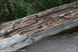 Komura Komuranon 820 80-200 mm Fotos mit Blende f/ 8