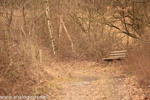 Auto Revuenon MC Macro 80 – 205 mm - Fotos verschiedene Blendeneinstellungen