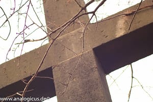 Auto Revuenon MC Macro 80 – 205 mm - Fotos verschiedene Blendeneinstellungen