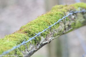 Auto Revuenon MC Macro 80 – 205 mm - Fotos verschiedene Blendeneinstellungen