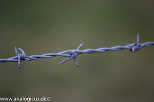 Auto Revuenon MC Macro 80 – 205 mm - Fotos verschiedene Blendeneinstellungen