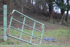 Auto Revuenon MC Macro 80 – 205 mm - Fotos verschiedene Blendeneinstellungen