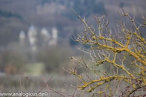 Auto Revuenon MC Macro 80 – 205 mm - Fotos verschiedene Blendeneinstellungen