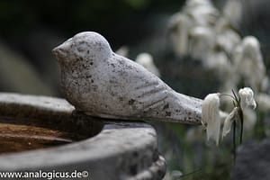 Auto Beriflex 135 mm - Fotos mit Offenblende 2.8