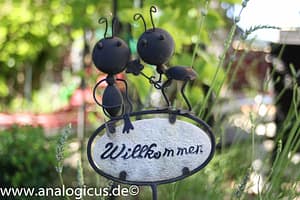 Tokina RMC 28 mm - Fotos mit Offenblende 2.8