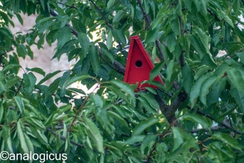 kiron70-210analogicus-10