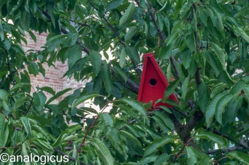 kiron70-210analogicus-12