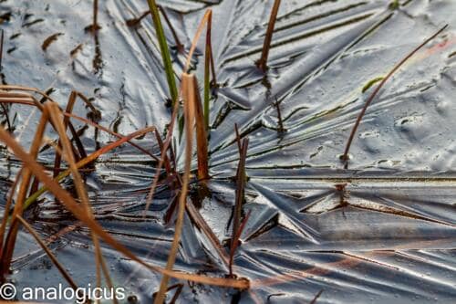 soligor100pic-3318
