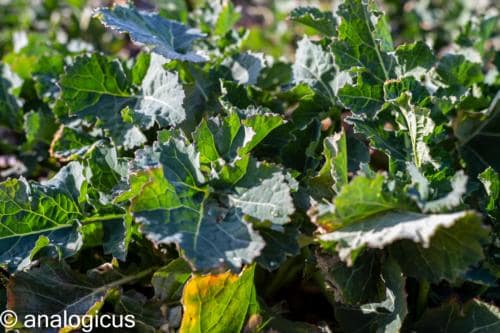 superreflectaEOS6D-10