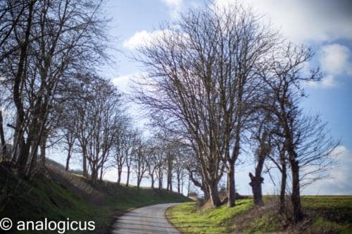 superreflectaEOS6D-13