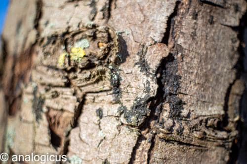 superreflectaEOS6D-15