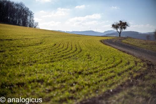 superreflectaEOS6D-21