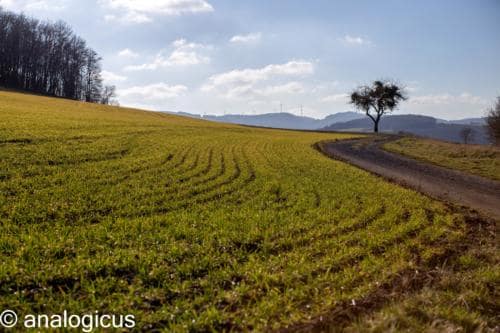 superreflectaEOS6D-23