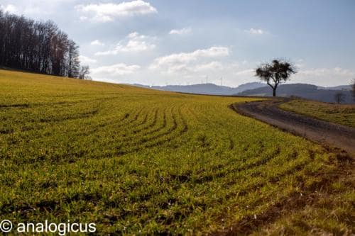 superreflectaEOS6D-24