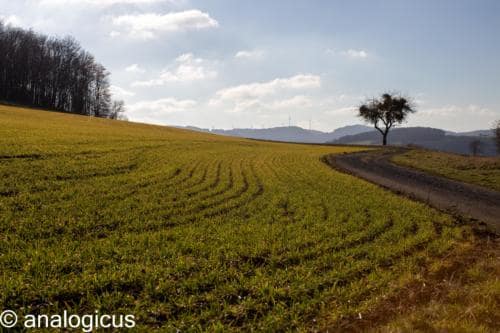 superreflectaEOS6D-25