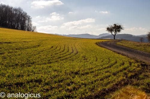 superreflectaEOS6D-27