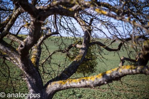 superreflectaEOS6D-3