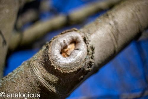 superreflectaEOS6D-40