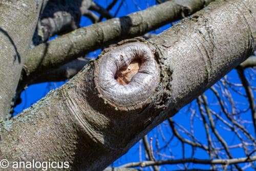 superreflectaEOS6D-42