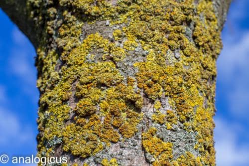 superreflectaEOS6D-46