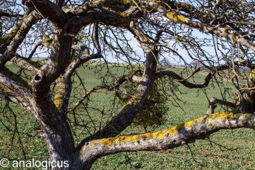 superreflectaEOS6D-7