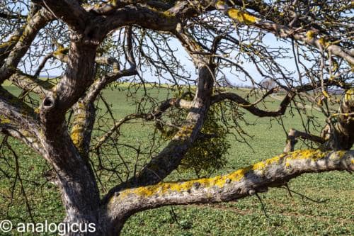 superreflectaEOS6D-9