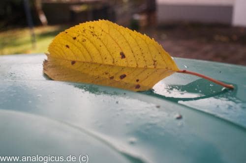 tokina 24mm analogicus-9