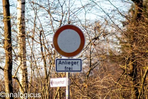 yashikor135fotos-1421