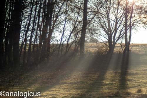 yashikor135fotos-1433