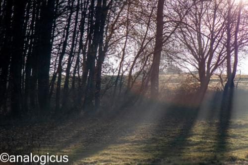 yashikor135fotos-1435