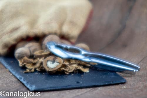 yashikor135fotos-1575