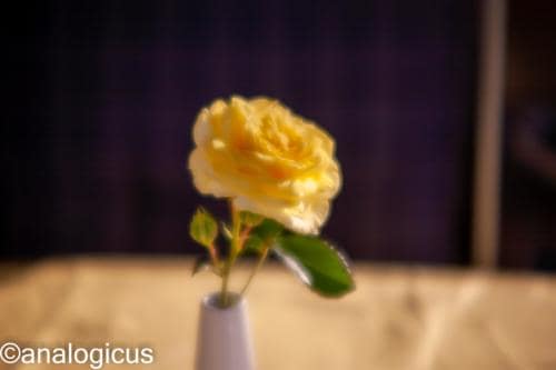 yashikor135fotos-2611