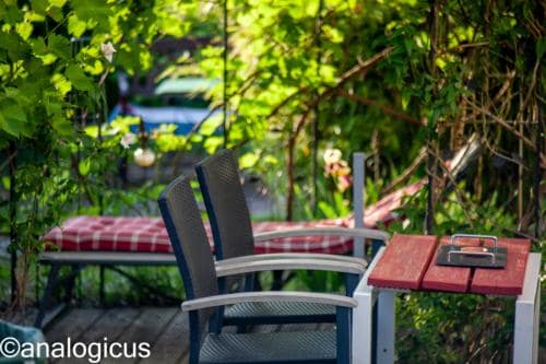 yashikor135fotos-2640