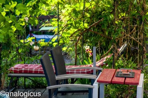 yashikor135fotos-2641