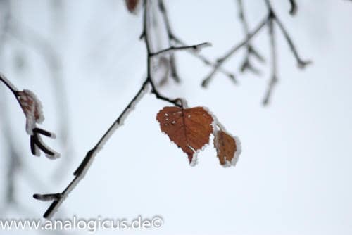 cosinon135mm 2.8-2838