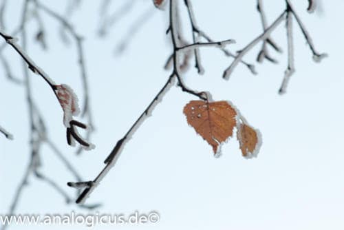 cosinon 135mm 8-2839